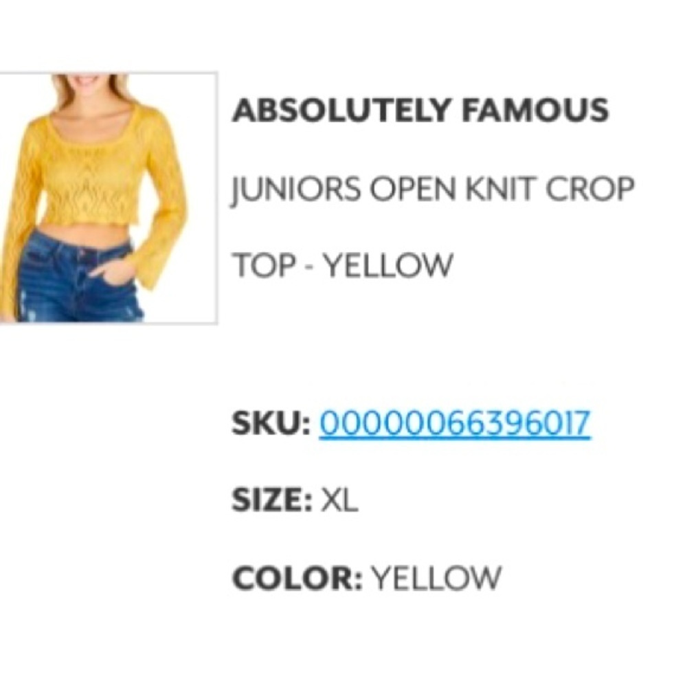 Absolutely Famous Open Knit Crop Top